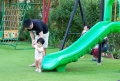 NHỮNG NGÀY HÈ CỦA KHỐI “1/6” TRONG VƯỜN XANH ECOGARDEN